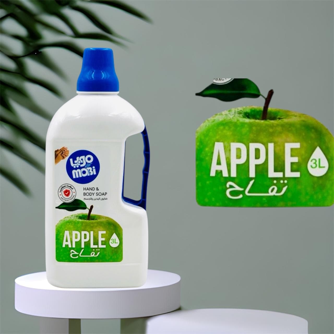 Antibacterial Hand & Body Soap (Apple)