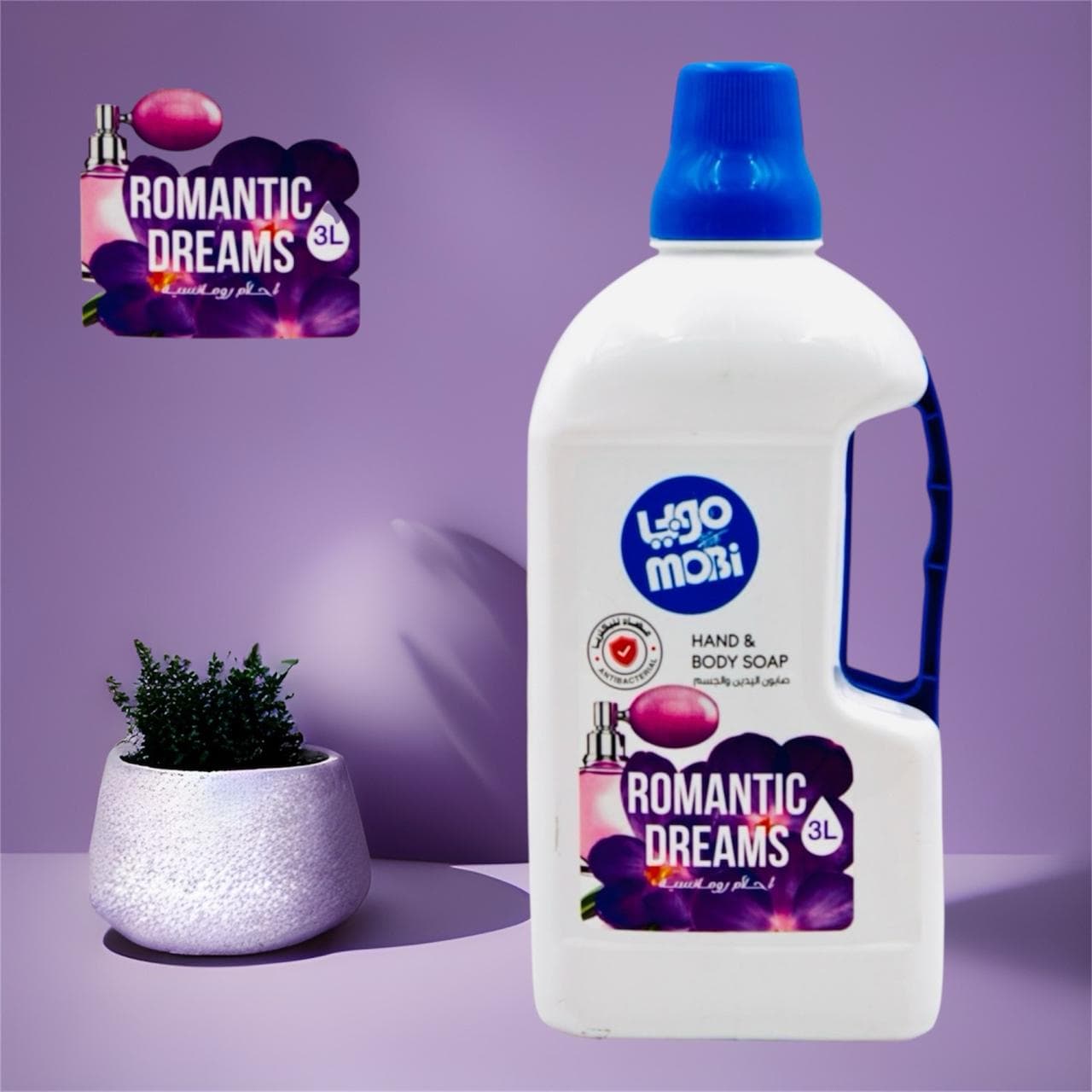 Antibacterial Hand & Body Soap (Romantic Dreams)
