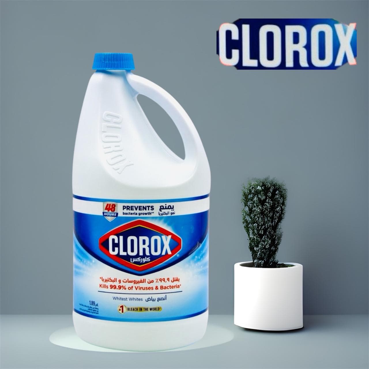 Clorox Liquid Bleach